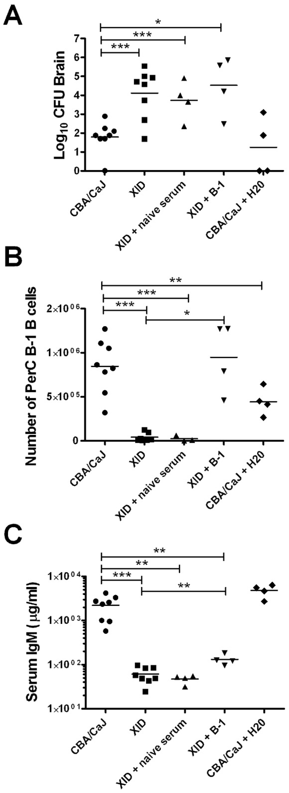 FIG 5 