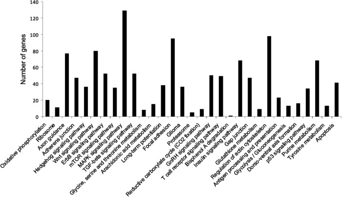 Figure 6.