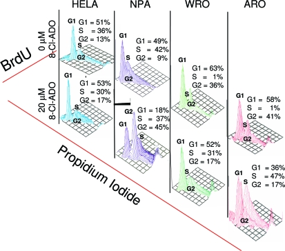 Figure 6