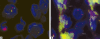 Figure 3a and b