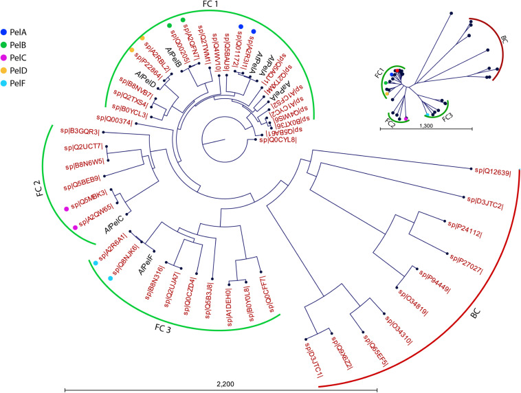 FIGURE 2