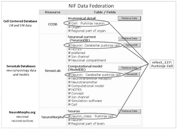 Fig. 12