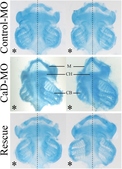 FIGURE 5: