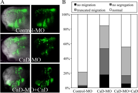 FIGURE 7: