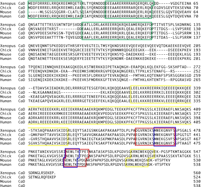 FIGURE 1: