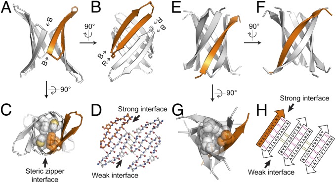 Fig. 4.