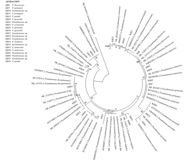 Fig 2