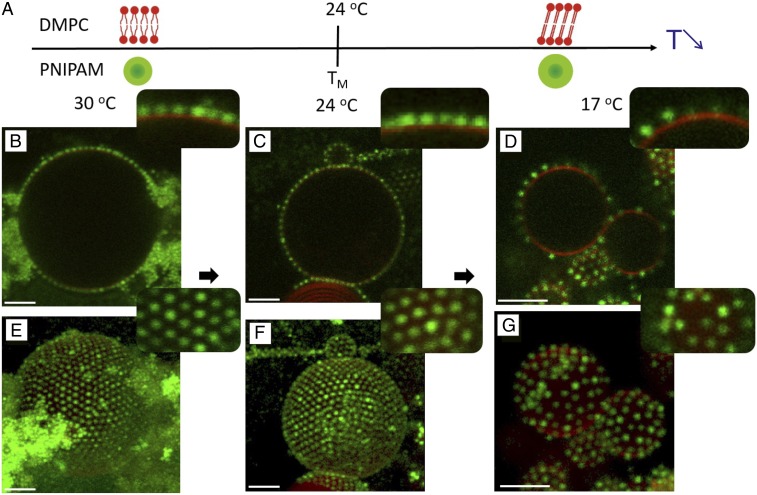 Fig. 3.