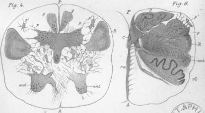 Figs. 4, 6