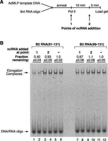 FIGURE 9.