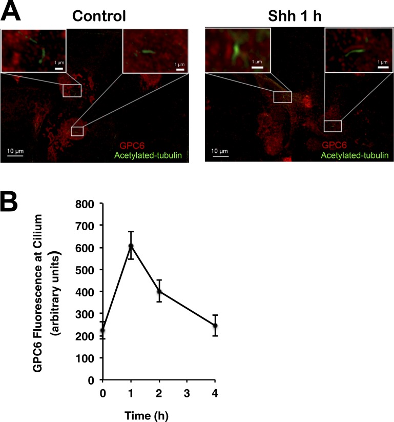 Figure 10.