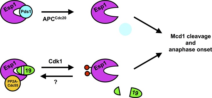 Fig 10