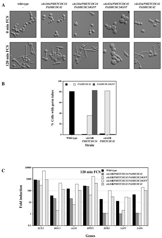 FIG. 6.