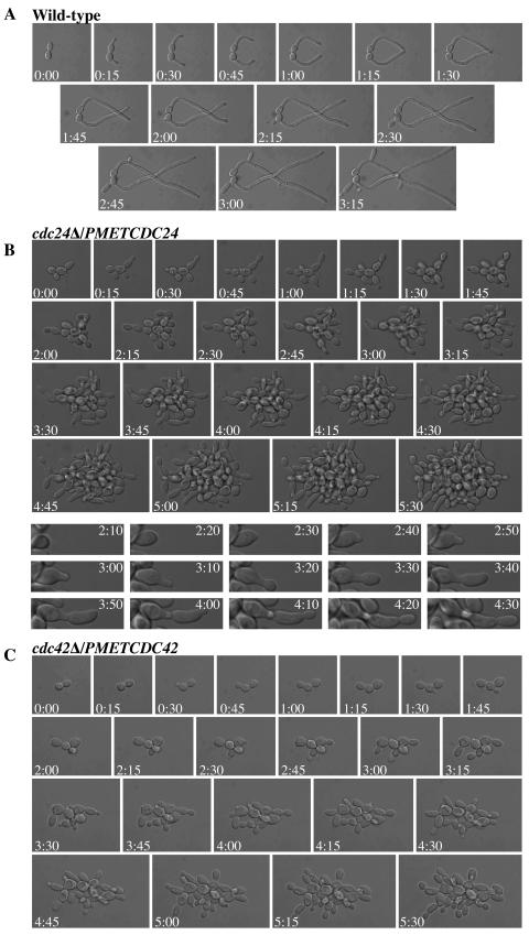 FIG. 4.