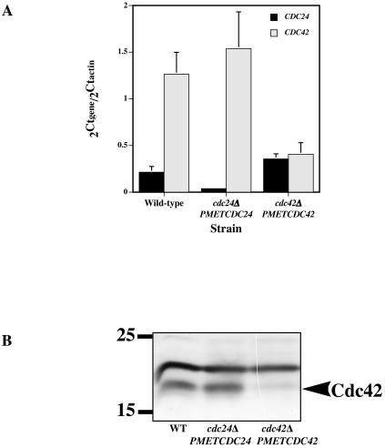 FIG.1.