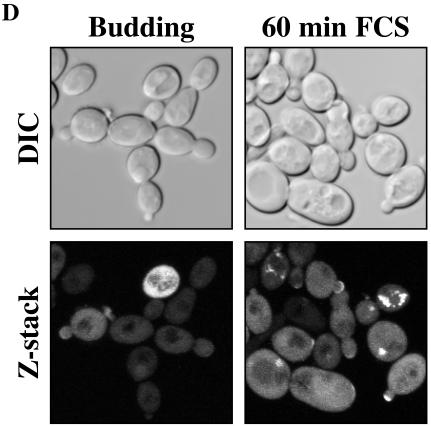 FIG. 8.