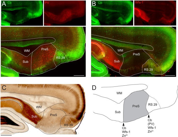 Figure 1—figure supplement 2.