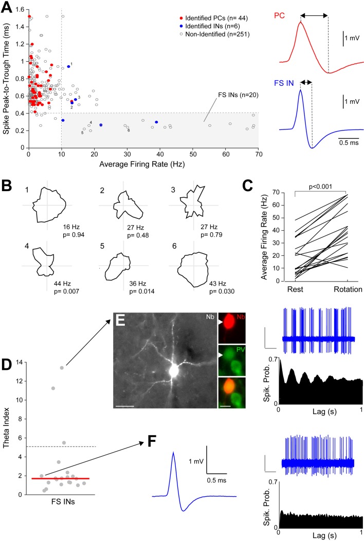 Figure 2—figure supplement 1.