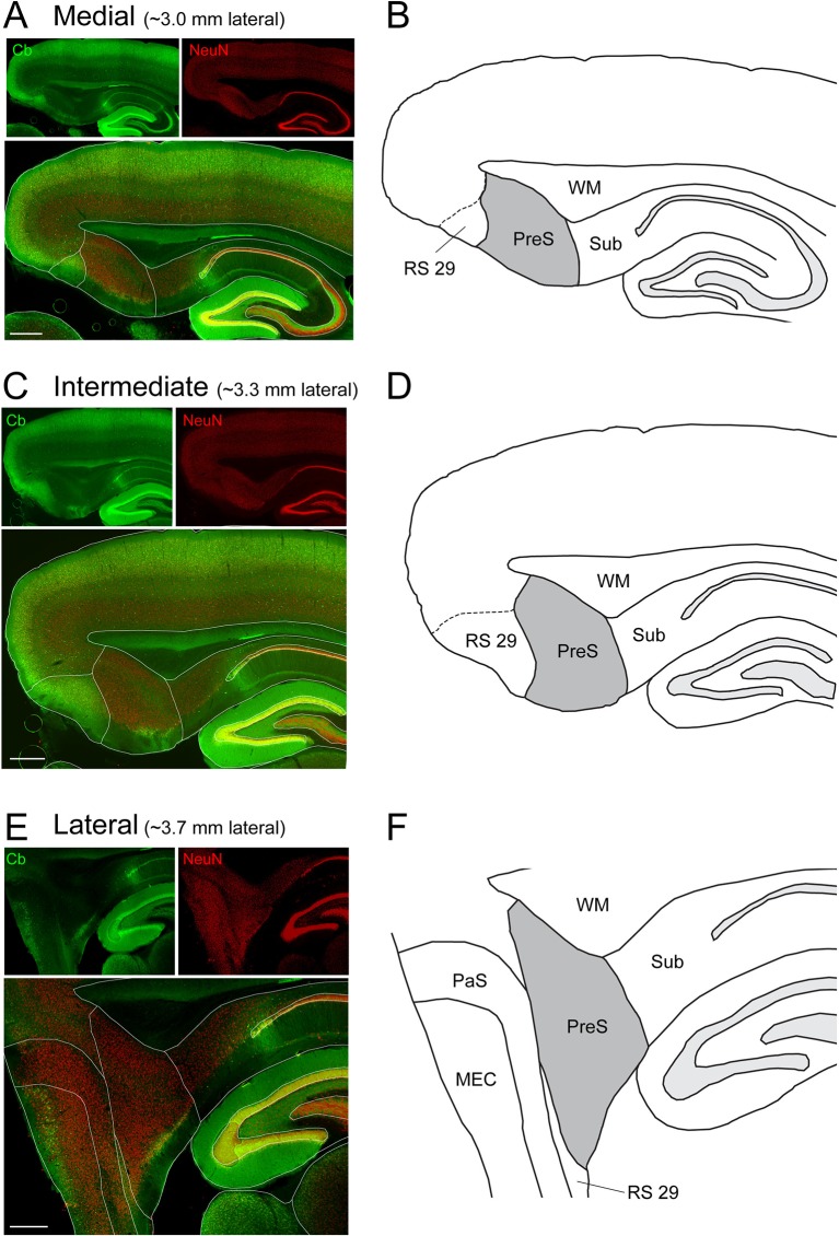 Figure 1—figure supplement 1.