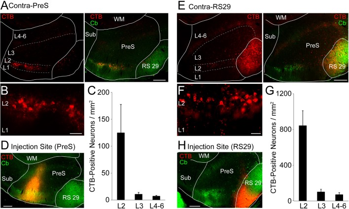 Figure 1—figure supplement 3.