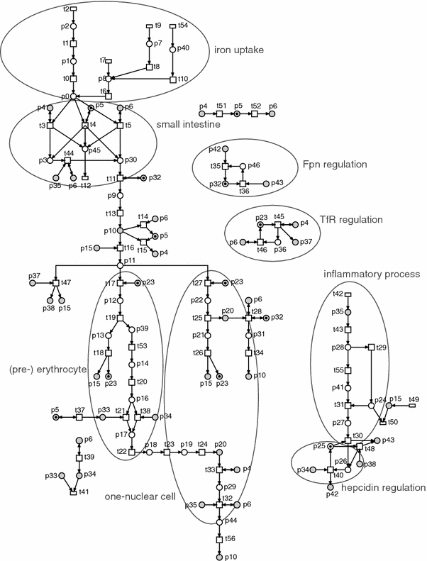 Fig. 2