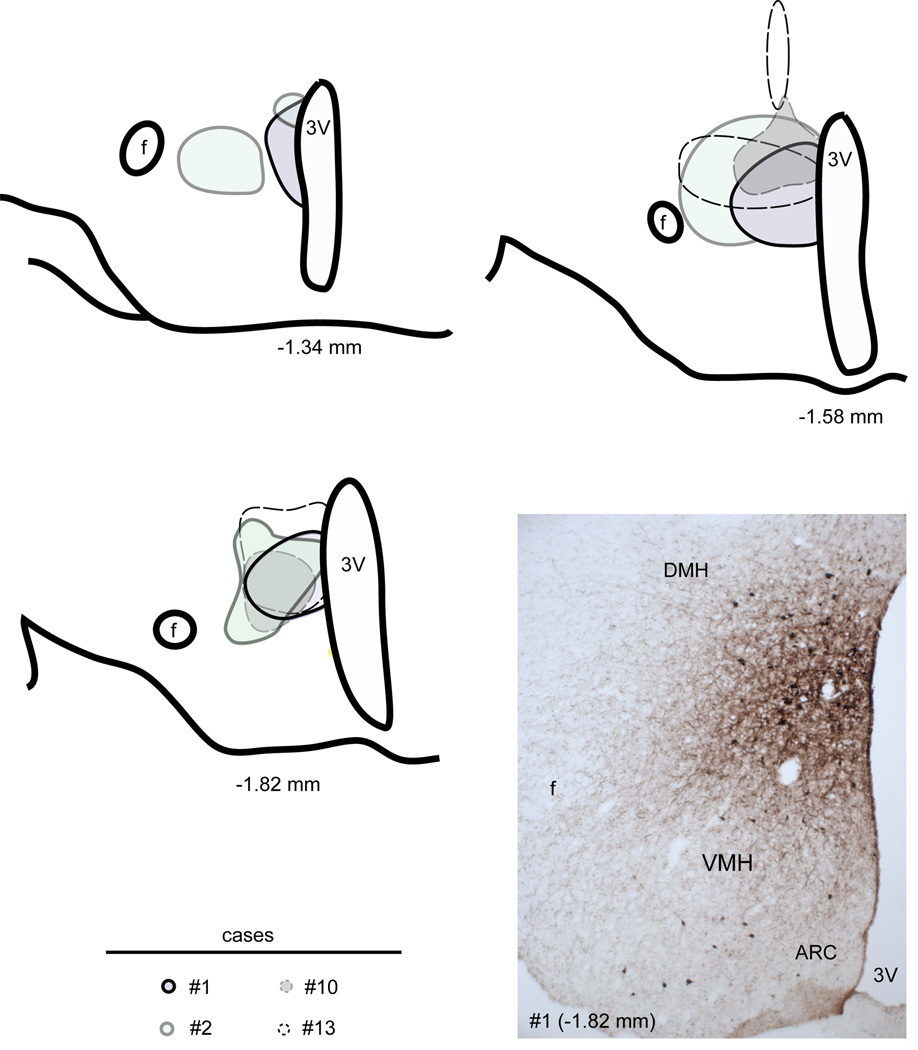 Figure 10