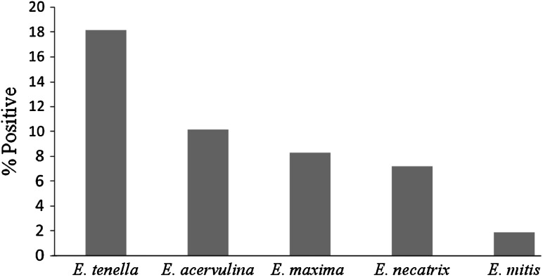 Fig. 4