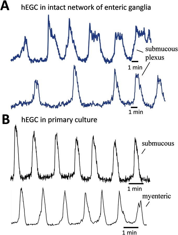 FIGURE 3