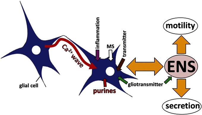 FIGURE 2