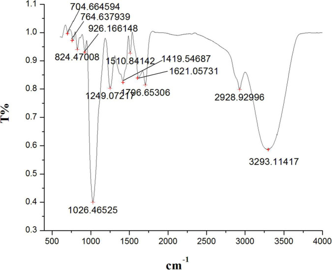 FIGURE 4