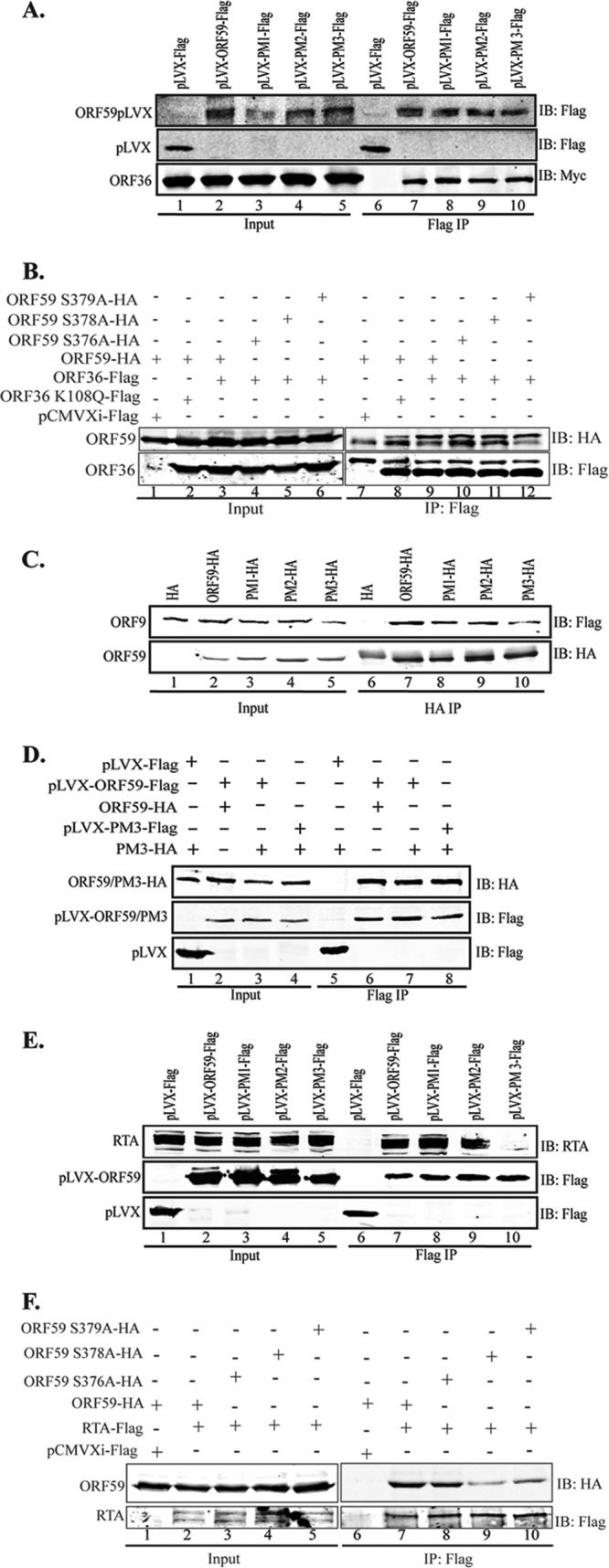 Fig 5