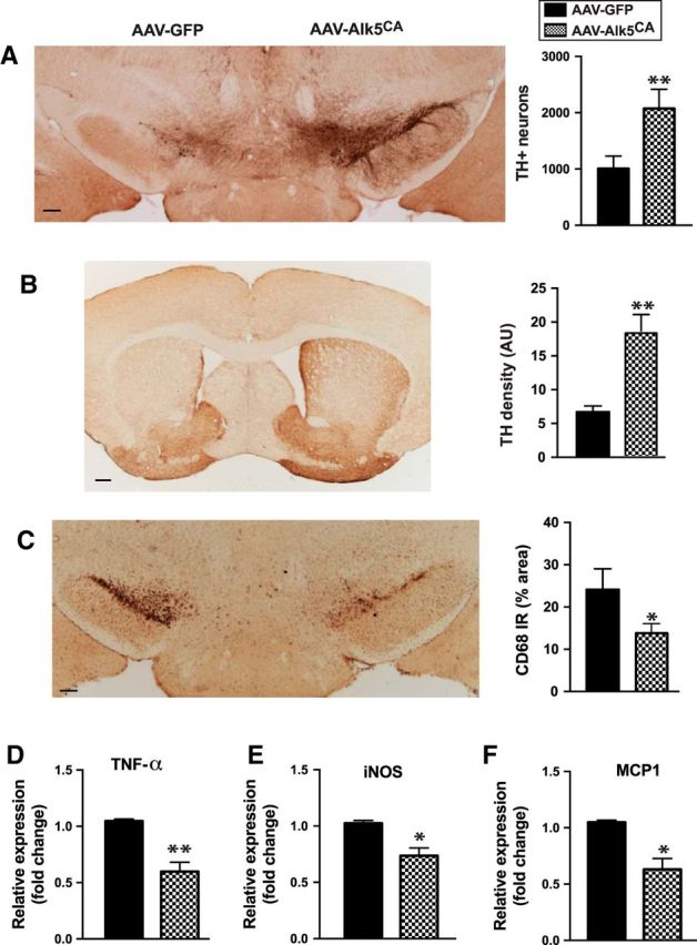 Figure 6.