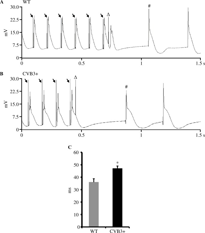 Fig 4