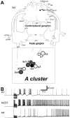 Fig. 4.