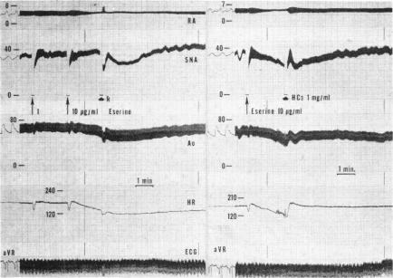 Fig. 31