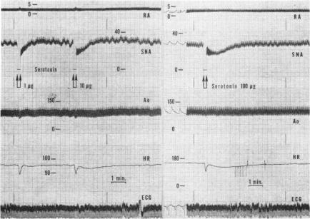 Fig. 26