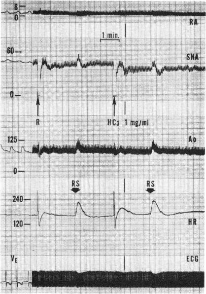 Fig. 35