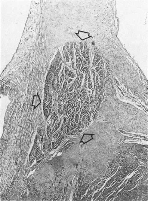 Fig. 10