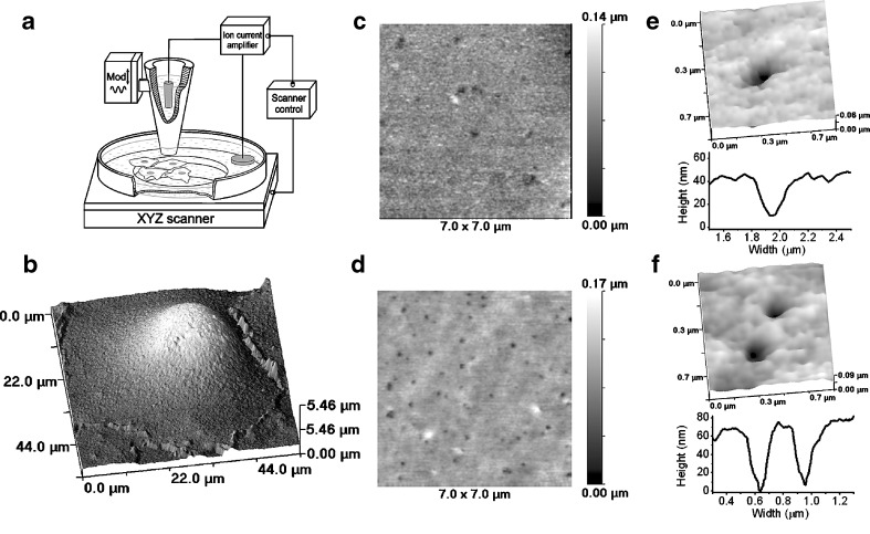 Fig. 1