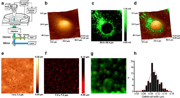 Fig. 2