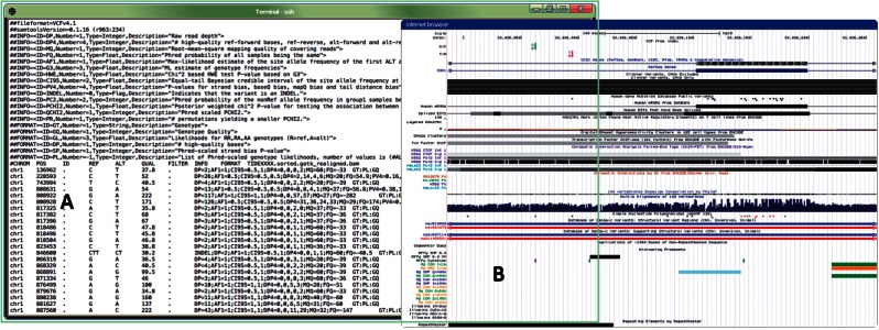 Figure 4: