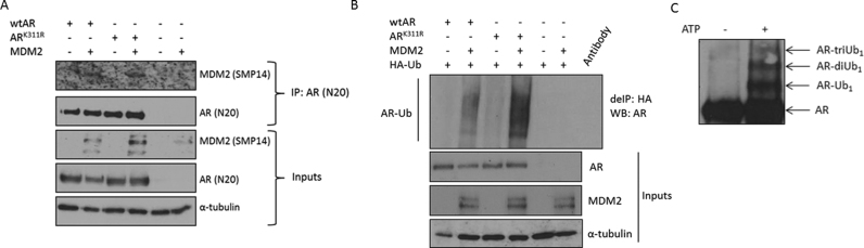 Figure 2.