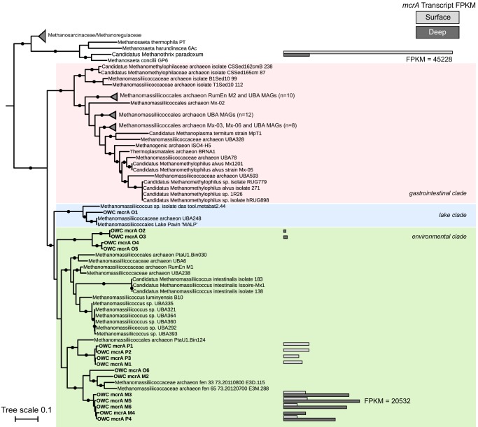 FIG 3