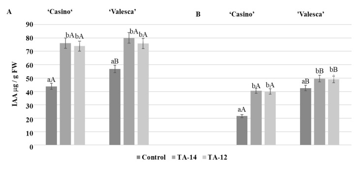 Figure 17