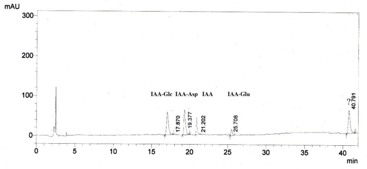 Figure 14