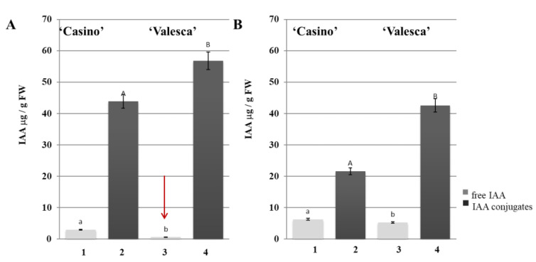 Figure 12