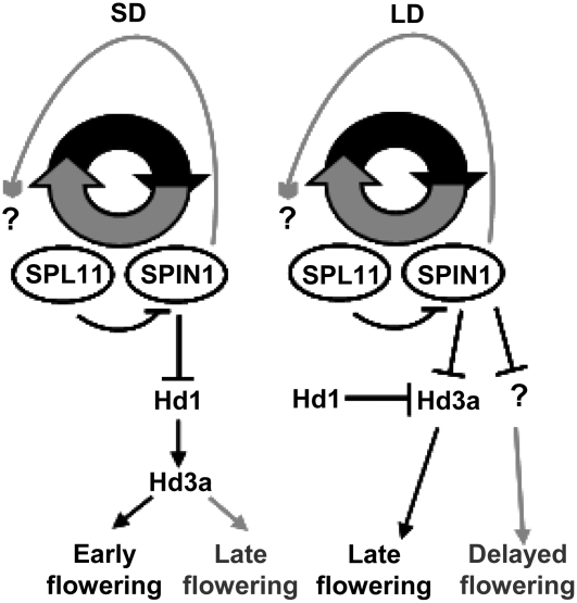 Figure 9.