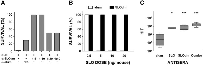 FIG 6 