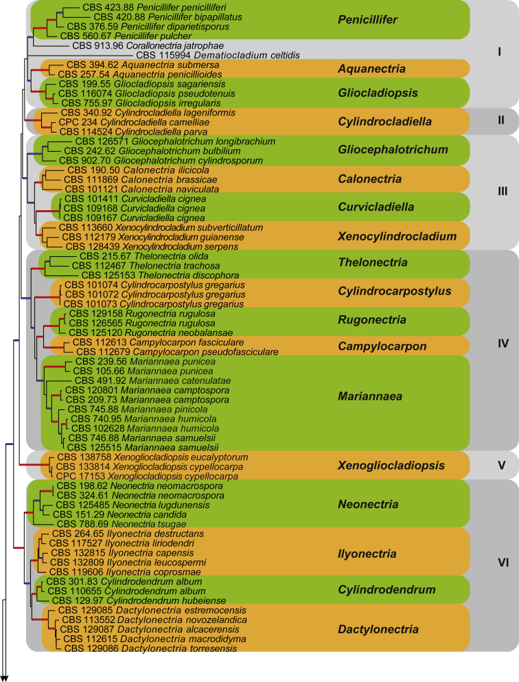 Fig. 2