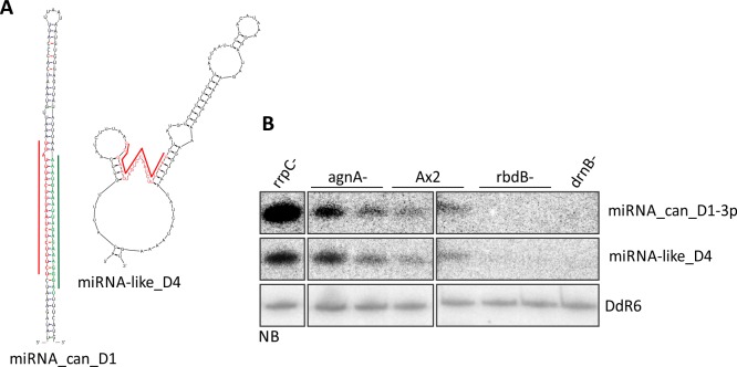 Fig 10